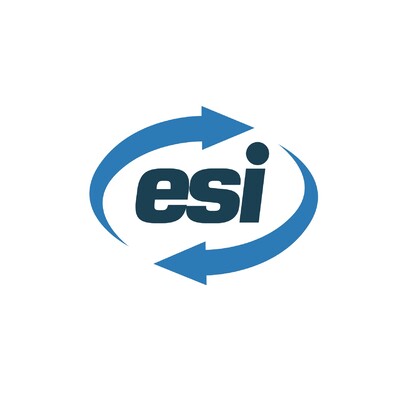 GROUP ESI logo