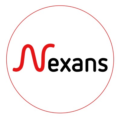 耐克森中国 logo